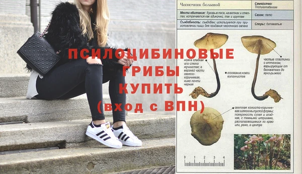 прущая мука Алзамай