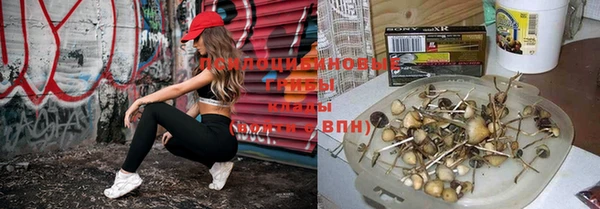 кокаин премиум Алексин